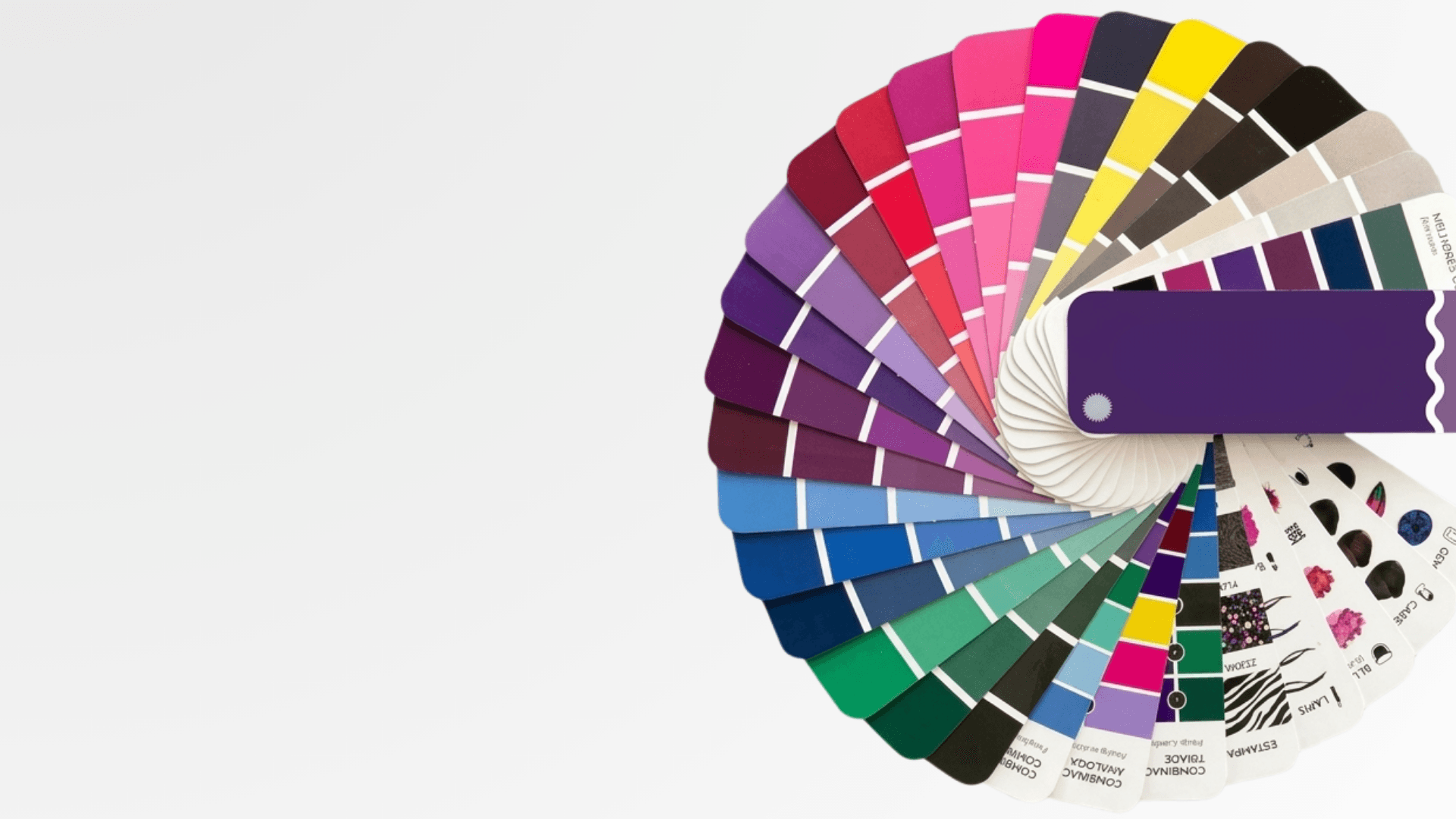 Paleta de cores – Consultoria de Imagem Amanda Moraes